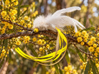 Moonlit Wattle Moth Cat Teaser Attachment - Pritti Kitti Boutique