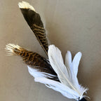 Turkey in the Straw Cat Toy Attachment - Pritti Kitti Boutique
